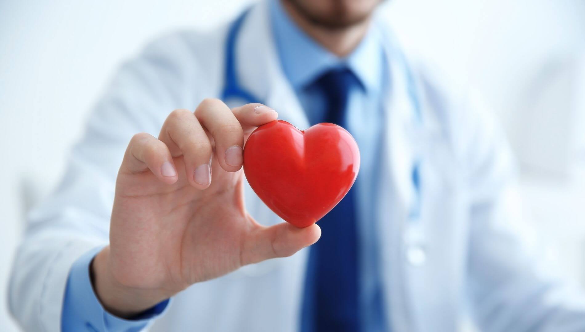 Zdravé srdce a cholesterol: výhody rostlinných bioaktivních látek