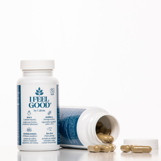 10 oblastí výzkumu adaptogenních rostlin v kontextu lidského zdraví