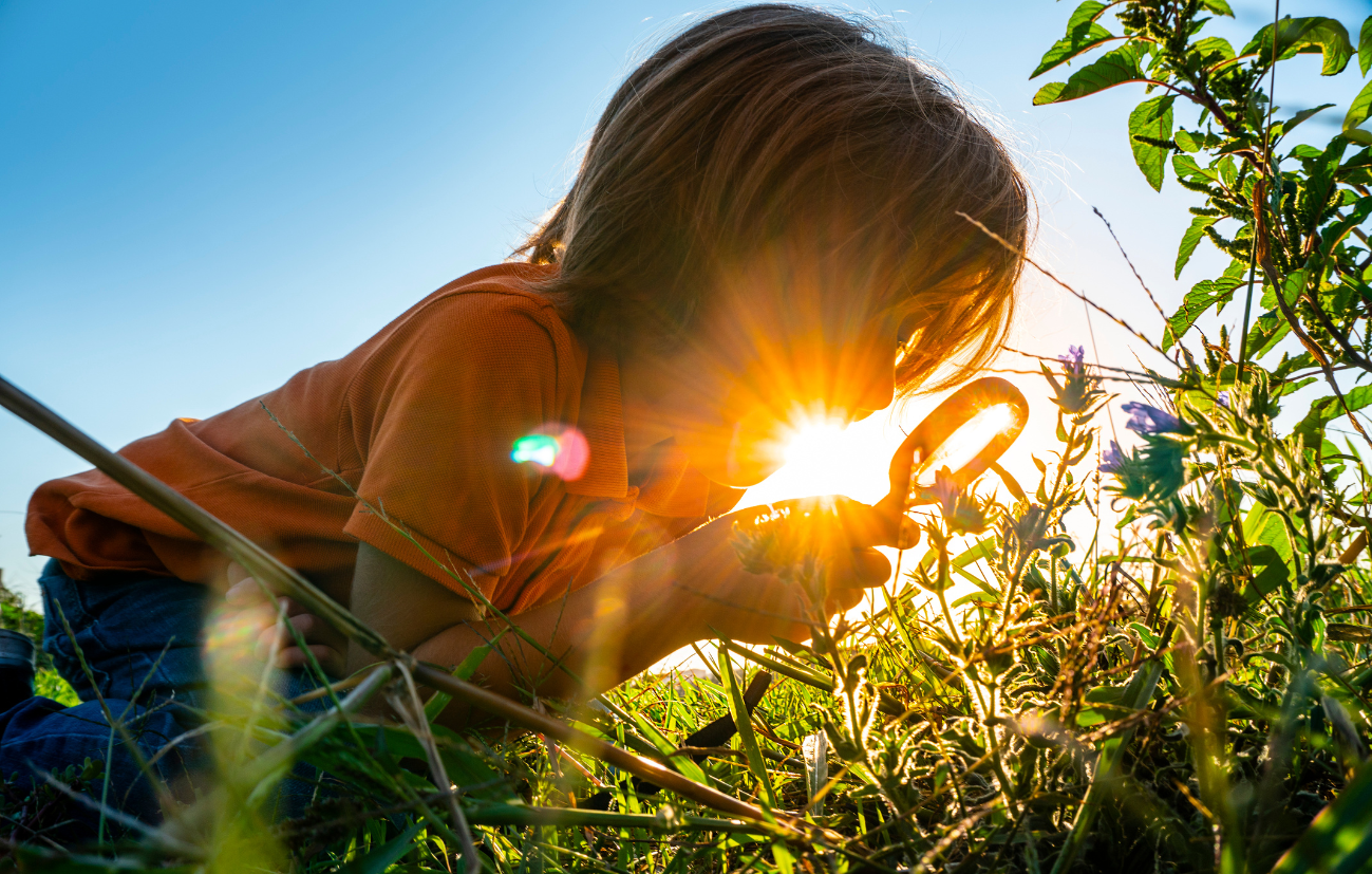 13 vědecko-výzkumných oblastí spojených se saponiny a flavonoidy