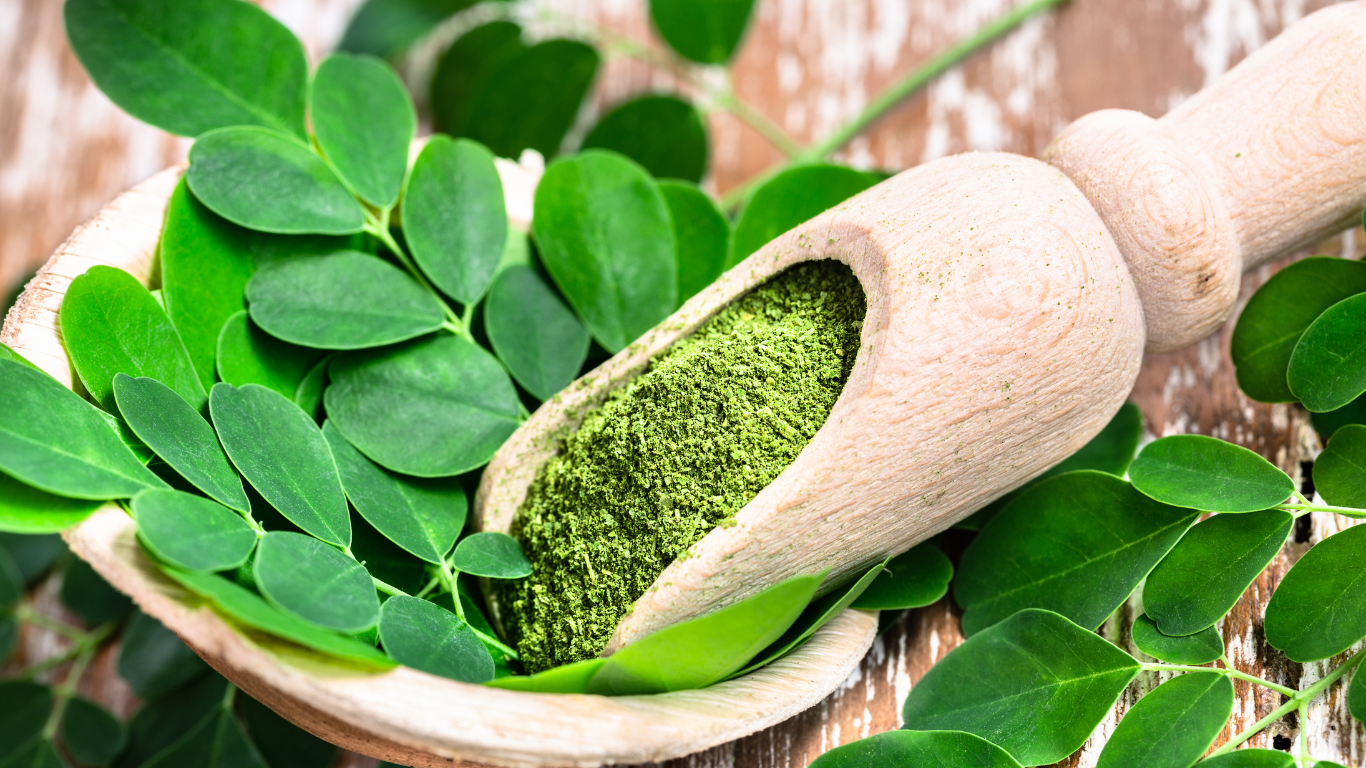 moringa