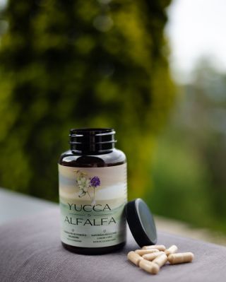 Někdy je méně více. 🌿 Dvě rostliny. Jedna promyšlená receptura. YUCCA & ALFALFA spojuje tradičně využívané rostlinné...