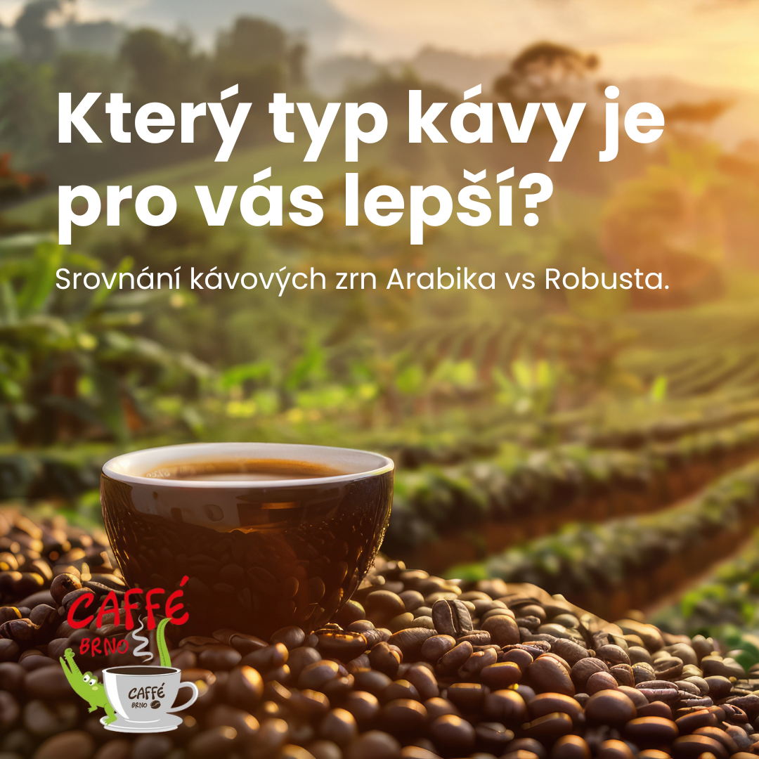 Srovnání kávových zrn Arabika vs Robusta: Která odruda je pro vás lepší?