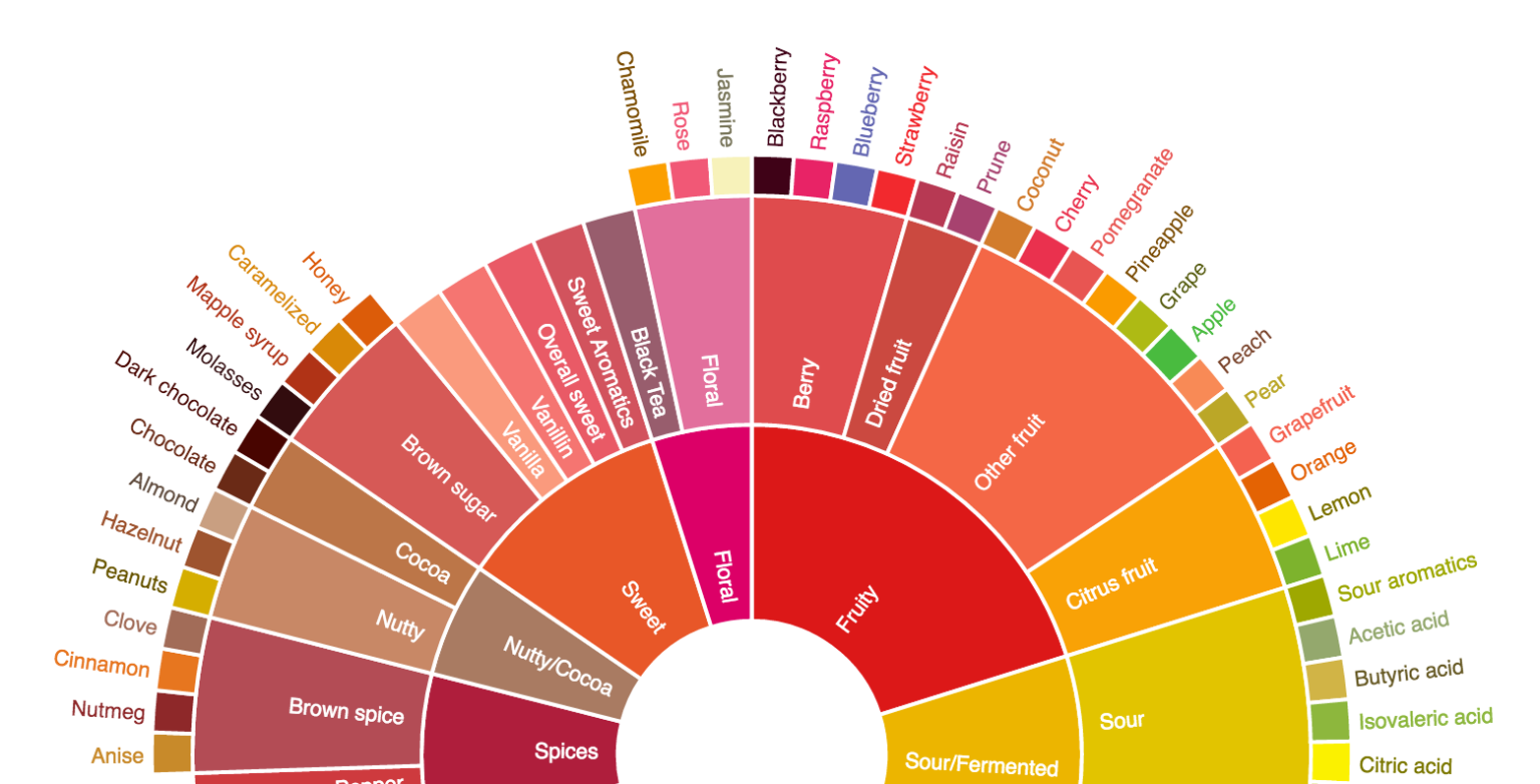 cannizzaro_180-1-1536x782