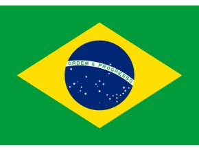 brazil flag small