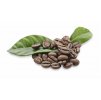 110 1102920 arabica coffee beans png png download coffee farming