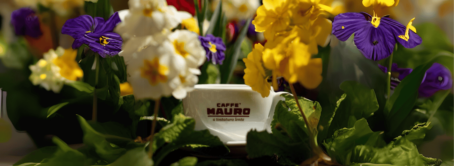 Caffè Mauro: Príbeh talianskej vášne, ktorá chutí v každej šálke