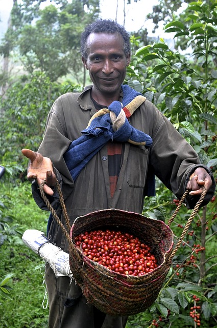 fairtrade kava