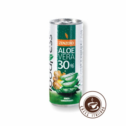 Aloe Vera Zázvor 250g
