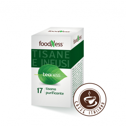 Foodness caj bylinkovy detoxikacny 20ks 2g caffeitaliano logo