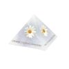 23328 1 bistrotea tipis harmancek bio bylinkovy caj 50ks 1 5g pyramida