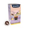 Borbone káva so ženšenom E.S.E.pody 18ks – logo značky