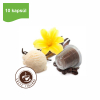 bonini caffe vanilkova kava kapsule nespresso 10ks logo1 caffeitaliano
