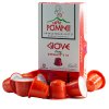 1581 5 giove kavove kapsle do kavovaru nespresso 10ks caffe pompeii