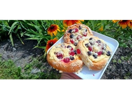 Hanácký koláč tvaroh-ovoce