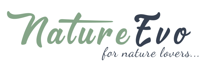 Molecular-Hydrogen.eu