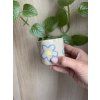 Mini cupík Květule