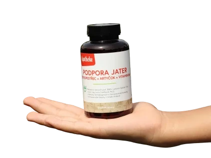 podpora jater copy