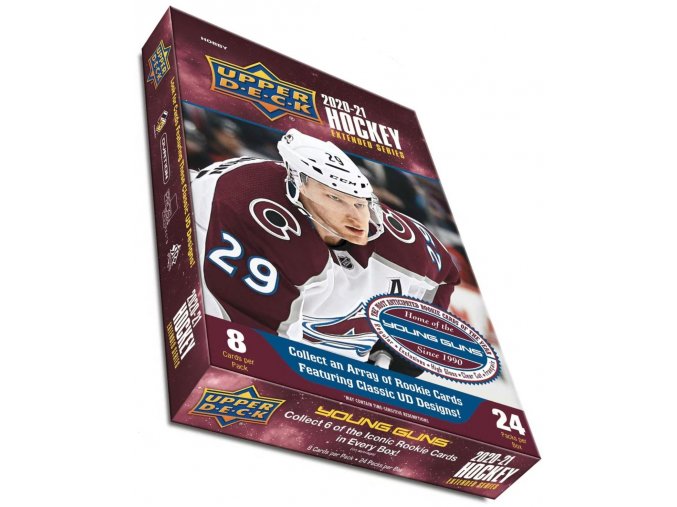 2020 21 UD Extended Hobby box