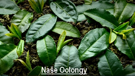 Naše oolongy