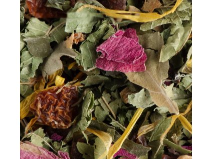 tisane nuit a versailles 1