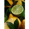 oolong citrons 2