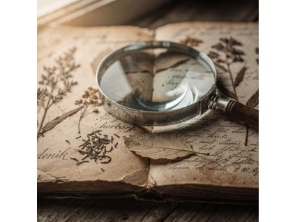 1765403733 116c0aa7 8b9c 4932 a6a8 e5faf164c6da 11zon