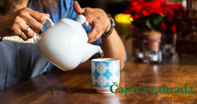 Proč se vyplatí pít čaje v BIO kvalitě?