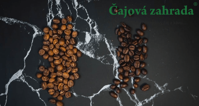 Arabica vs robusta: jaké jsou rozdíly a která má víc kofeinu?