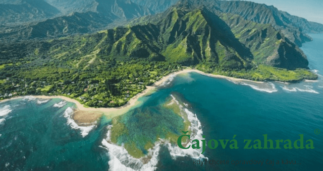 Hawaii Kona: Objevte kouzlo téhle prémiové arabiky