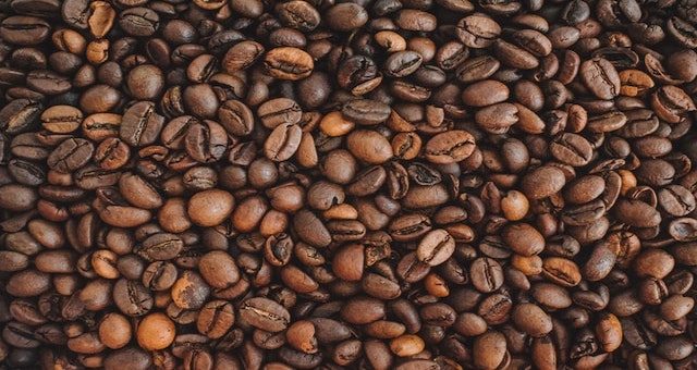 Jak se sklízí káva? Nahlédněte pod pokličku kávovým žním