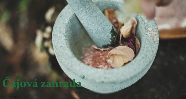 Jak sušit bylinky? Poradíme vám!