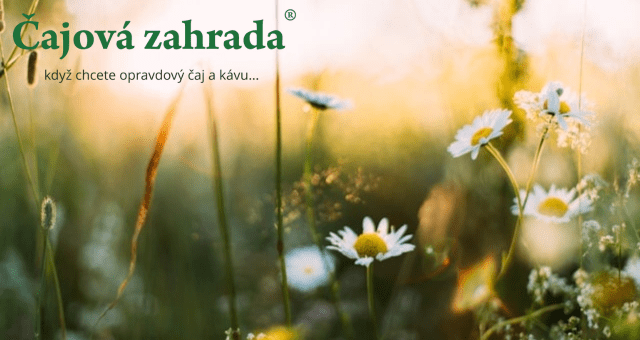 Jarní únava: Poradíme, jak na ni vyzrát!