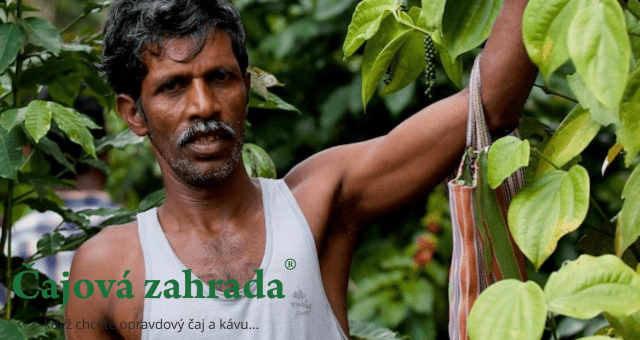 Indie: Když dostanete chuť na netypickou kávu