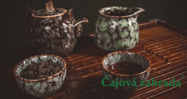 Největší producenti čaje: Které země dominují?