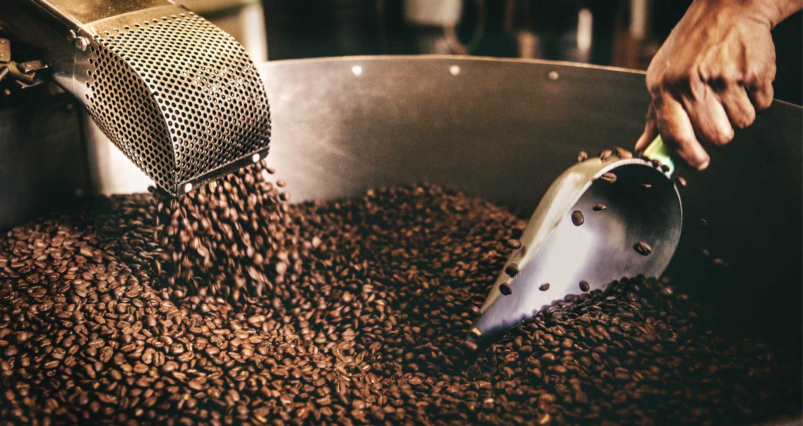 Příběh kávy. Od sklizně až na váš stůl