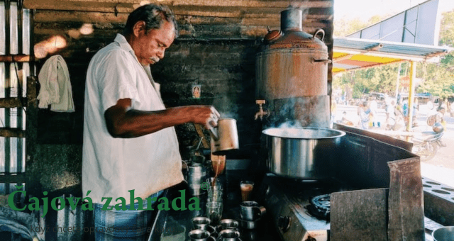 Průvodce indickými čaji: Které stojí za zkoušku?