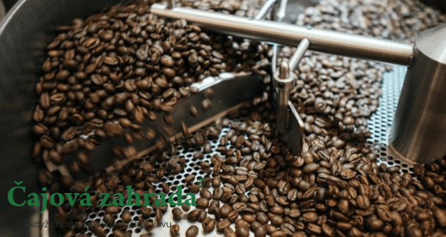 Pražení kávy doma: Můžete zpracovat zelená zrna na kávu?