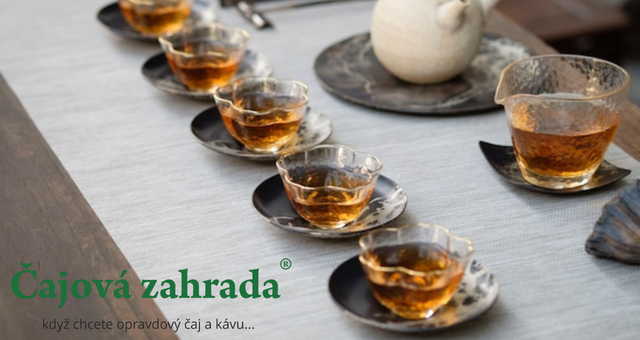 Víte, jaký je rozdíl mezi černým a zeleným puerhem?