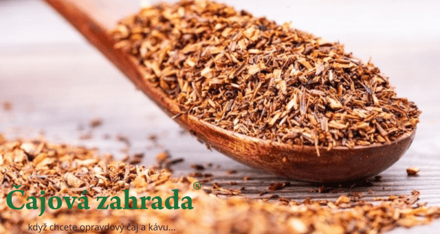 Rooibos matcha: Bezkofeinová alternativa čaje matcha