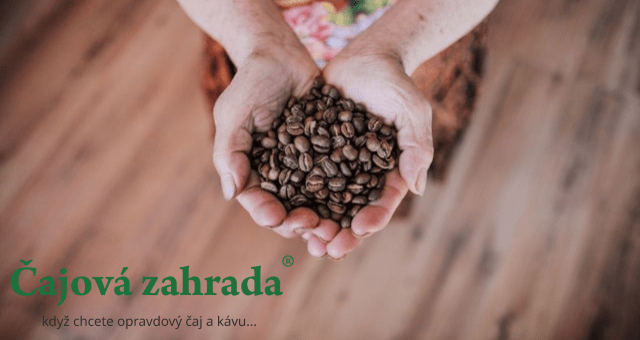 Tanzanie: Jedinečná káva s bohatou historií