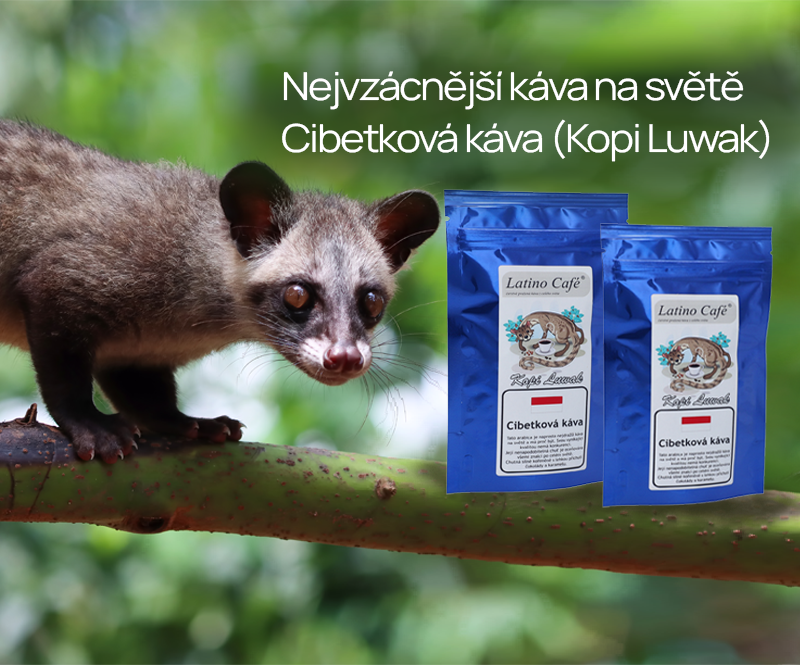 Nejvzácnější káva na světě