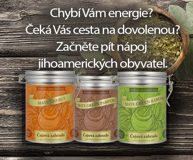 Chybí Vám energie?