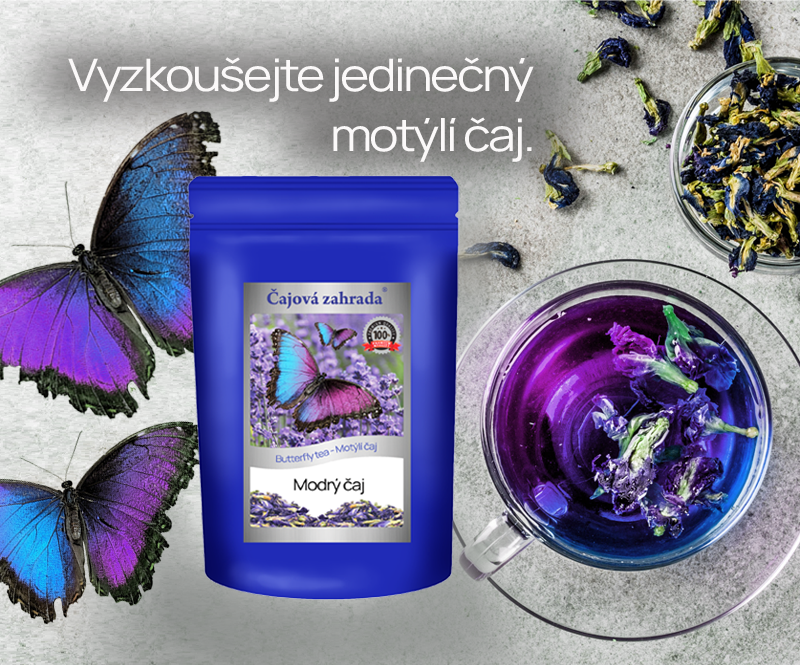 Modrý čaj - Butterrfly tea - Motýlí čaj