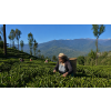 India Darjeeling Puttabong FF – černý čaj (Varianta černý čaj 50g)