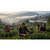 India Darjeeling North Tukvar FF – černý čaj (Varianta černý čaj 50g)