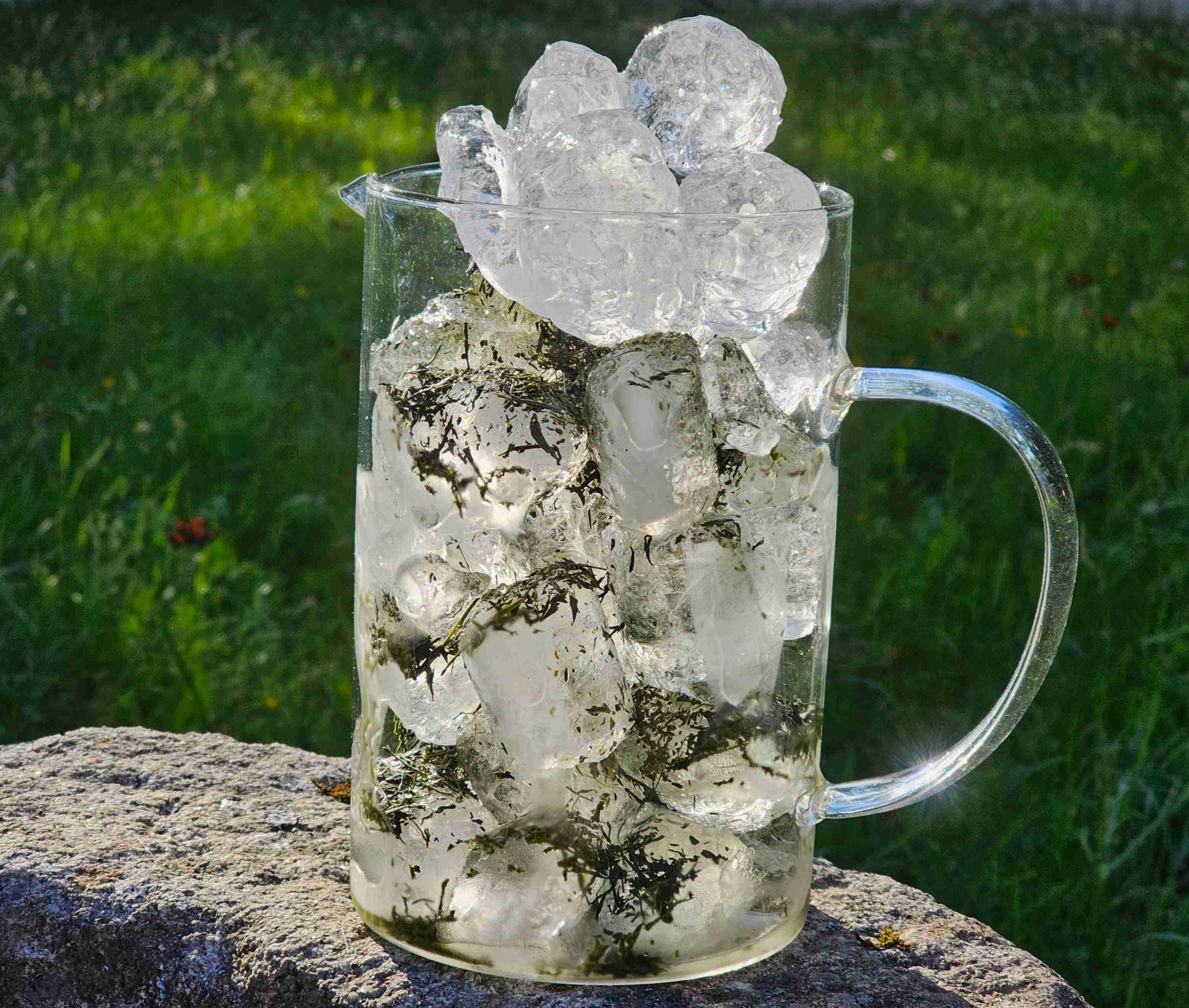 „Cold Brew“ – příjemné osvěžení pro slunečný podzim