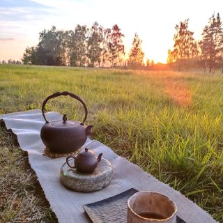 Where the inspiration comes from... 🪷 #teatime #teaceremony #caj #gongfucha