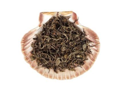 zelená opice bílé