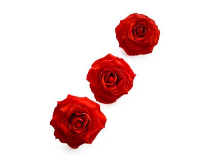 Ruže červené 1
