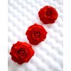 Ruže červené